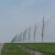 顺威 鸟网  机场、农场、园区专用 带防风线 30*5米 /张 