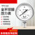 北京布莱迪BLD仪表YTH63F不锈钢气液油耐高温真空全钢指针压力表 040MPA现货