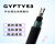 GYFTY53-8B1.3室外铠装光纤4/12/16/24/48/96芯非金属直地埋光缆 GYFTY53-4芯