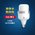 FSL佛山照明大功率美家系列 45W E27 6500K白光 IP20 220V LED灯泡(计价单位：个)白色