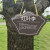 定制树牌挂牌学校公园不锈钢插地牌子植物绿化信息牌铭牌树木介绍 SP-39 10x15cm