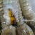 食怀生腌虾即食冷冻新鲜虾爬子鲜活皮皮虾虾蛄即食潮汕生腌腌制海捕 4袋皮皮虾(2000克)