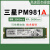 PM981a 拆机通电少1T M2 PCI NVMESSD固态硬碟PM9A1 西部SN740 1T(50小时内)