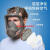 GJXBP定制适用6800防毒面具全面罩化工喷漆专用生化防尘全脸防雾防护面 球形面具+3号防尘毒全面具套装