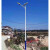 新农村路灯锂电池 5米6米大功率乡村户外双头LED高杆灯 6米40W锥形杆