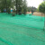 LOMAZOO园林绿化无纺布绿色透气膜工地草坪防尘盖土布护边坡植草籽覆盖膜 15克绿色1.0米*700米700平
