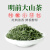 信阳毛尖（XINYANGMAOJIAN）2024年新茶绿茶纯嫩小芽自产自销手工炒制500克