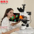 纽荷尔 研究级高端科研荧光显微镜 NEXT60 四色荧光专业彩色显微系统