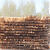 落叶松防腐油木杆 通信电力防腐油木杆 6米7米8米9米油木杆木质杆 7米100粗 小头