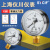 SYCIF厂家直销上海仪川仪表测水空调真空水泵压力表径向安装 (乙炔)YY60 0.25MPA 2.5公