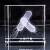 大团小圆大肠杆菌噬菌体水晶激光内雕模型生化病毒标本摆件生物科技纪念 大肠杆菌 6x6x6厘米
