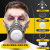 LISM防毒口罩面具全面罩防尘防工业化工喷漆专用防护气体放毒氧气面罩 防尘毒型套装+黑色防雾大眼罩+3