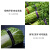 蔬菜水果捆扎环保胶带活动标记每日新鲜胶带黄绿红蓝彩色生鲜果蔬