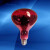 远理疗灯烤电灯泡理疗电烤灯神灯红光灯灯泡 275W光面红光(高品质全红温度 100300W