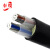 奉缆 ZC-YJLV22-0.6/1KV-2*10mm² 国标铝芯阻燃铠装电力电缆 1米