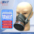 海安特(HAT) T2防毒半面罩 喷漆装修异味化工实验防护半面具 活性炭面具