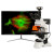 纽荷尔 研究级高端科研荧光显微镜 NEXT60 四色荧光专业彩色显微系统