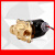 BOPU格尔特geerte2W-160-15 2WBFR-15铜电磁阀太阳能电磁阀水阀 线圈