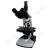 BM彼爱姆三目筒易偏光显微镜BM-11(简易式) 三目透射式4个物镜 1600倍 电光源