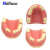 TWTCKYUS上颌窦提升操练模型 种植牙练习模型 口腔种植 软牙龈 齿科材料 下河种植模型1个
