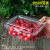 一次性水果盒 超市一次性水果包装盒透明塑料盒水果500M水果店一 500克果蔬盒-整箱600个