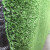 草坪围挡环保人造仿真草坪网隔离网护栏网绿色市政防护绿化草皮 2*25米1.5厘米背胶草
