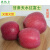 甘肃天水红富士苹果新鲜水果适合孕妇儿童食用超大苹果脆甜可口 80mm-85mm大果 净重8.5斤(不含包装）