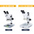 力辰科技生物显微镜大视场目镜带CTV专业光学高清jing子螨虫显微镜 LC-SMS-4+环形灯 