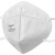 霍尼韦尔（Honeywell）KN95防尘头戴折叠式防雾霾防风防冻口罩H950 10只袋装耳挂