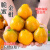 脆蜜金柑第三代广西鲜果新鲜水果5斤礼盒桔子橘子皮脆滑 3斤 小果约31-40颗/斤丨试吃尝鲜丨
