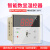 数显温控表XMTD-2201温度调节仪温控器E型K型PT100短壳智能温控仪 XMTD-2201（短款）