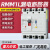 上海人民塑壳CM1LE漏电断路器RMM1LE4P100A225A250A400A630A透明 250A 4p