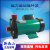 新西山磁力泵驱动循环泵MP-15RM2030R4070耐腐蚀耐酸碱微型化工泵 MP55R直插