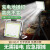 EAZOO STAR上海亚明大功率COB投光灯户外照明灯室外射灯led超亮泛光灯 亚明-地摊照明灯-[100w]