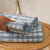 南极人（NanJiren）原棉加厚老粗布床单单件宿舍单人床罩家用床垫保护罩被单床上用品 时尚梦格 160*245cm单件床单