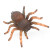 英国CollectA我你他 收藏级仿真实心昆虫系列野生动物系列仿真蝴蝶动物模型儿童玩具 墨西哥红膝头蜘蛛