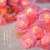 温柔的太阳led玫瑰花灯串求婚表白室内场景布置小彩灯串灯情人节浪漫氛围灯 粉+白玫瑰 10米80灯（电池款）