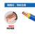 珠江电缆 国标铜芯电线电缆BVV-450/750V-25平方多股硬线 蓝色（一米价）