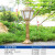 太阳能户外防水花园别墅草坪灯小区路灯室外家用超亮新农村 0.8米古铜色接电款加厚杆 送LED