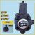 适用于定制油泵变量叶片泵PVS-HL-20D-10 30D 40D 12D 15D 赫力PVS3