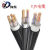 铜芯电力电缆       4+1     YJV 4X10+1
