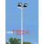 LED升降高杆灯户外广场灯球场灯中杆灯港口灯大功率超亮高杆路灯 25米全白 升降式12个300瓦