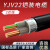 YJV22国标铜芯铠装电缆2芯4/6/10/16/25平方户外工程地埋电线缆 YJV22国标2*2.5