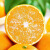 秭嘉鲜（顺丰直发）秭归伦晚脐橙新鲜橙子 现摘现发 应季水果彩箱 12枚精品礼盒
