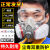 全面罩防毒面具生化防护面罩电焊呼吸器喷漆化工气体囗罩专用 402配件10包活性炭