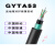 GYTA53-4B1.3防鼠重铠光纤8/12/24/36/48/72/96/144芯直地埋光缆 GYTA53-144B1.3