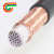 30芯0.75mm2国标铜屏蔽控制信号30C隔离抗干扰电缆线现货 黑色 10m x 30芯 x 0.75平方毫米