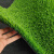 中科港 仿真人造草坪 塑料地毯假草皮庭院阳光房隔热围挡户外室内幼儿园操场装饰 绿底20mm 50平方