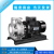 南方南泵水泵ZS50-32ZS80-65不锈钢卧式环泵单级泵水处理供水给水 ZS65-50-125/4SSC
