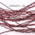 杜邦线2P端子线 2.54mm间距 双绞线 绞线 绕线 单头双头 红黑绕线 单头 520毫米